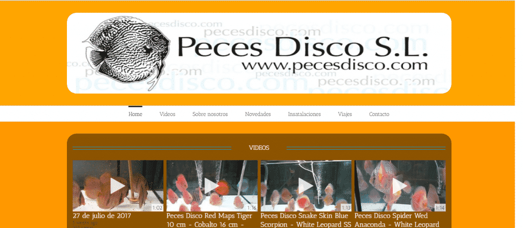 portada de la página pecesdisco