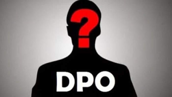 ¿Qué es un DPO?